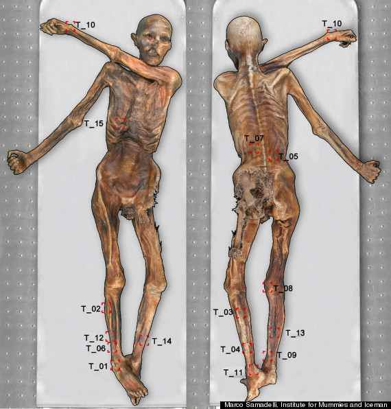 o-OTZI-TATTOOS-570